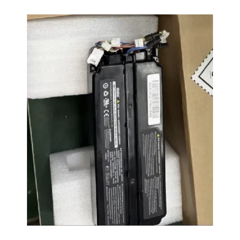 Batteria 21,6V 2550mAh per Ninebot NEG0601-M E8 E10  - 1  