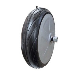 Motor pentru trotinetă Ninebot ES1, ES2, ES3, ES4 sau similară Segway - Ninebot - 3 Compatibil cu trotinetele Ninebot ES1, ES2, 