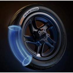 Complete voorvelg met remschijf voor Segway F2, F2 Plus, F2 Pro of vergelijkbaar - 10x2,5 inch Segway - Ninebot - 6 Complete voo