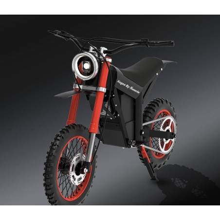 Moto elettrica Monorim Argon con motore da 1500 W e batteria da 16 Ah Monorim - 2 Moto elettrica Monorim Argon con motore da 150